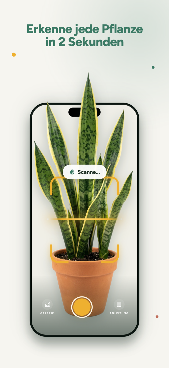 Dr.Plants erkennt eine Pflanze in 2 Sekunden