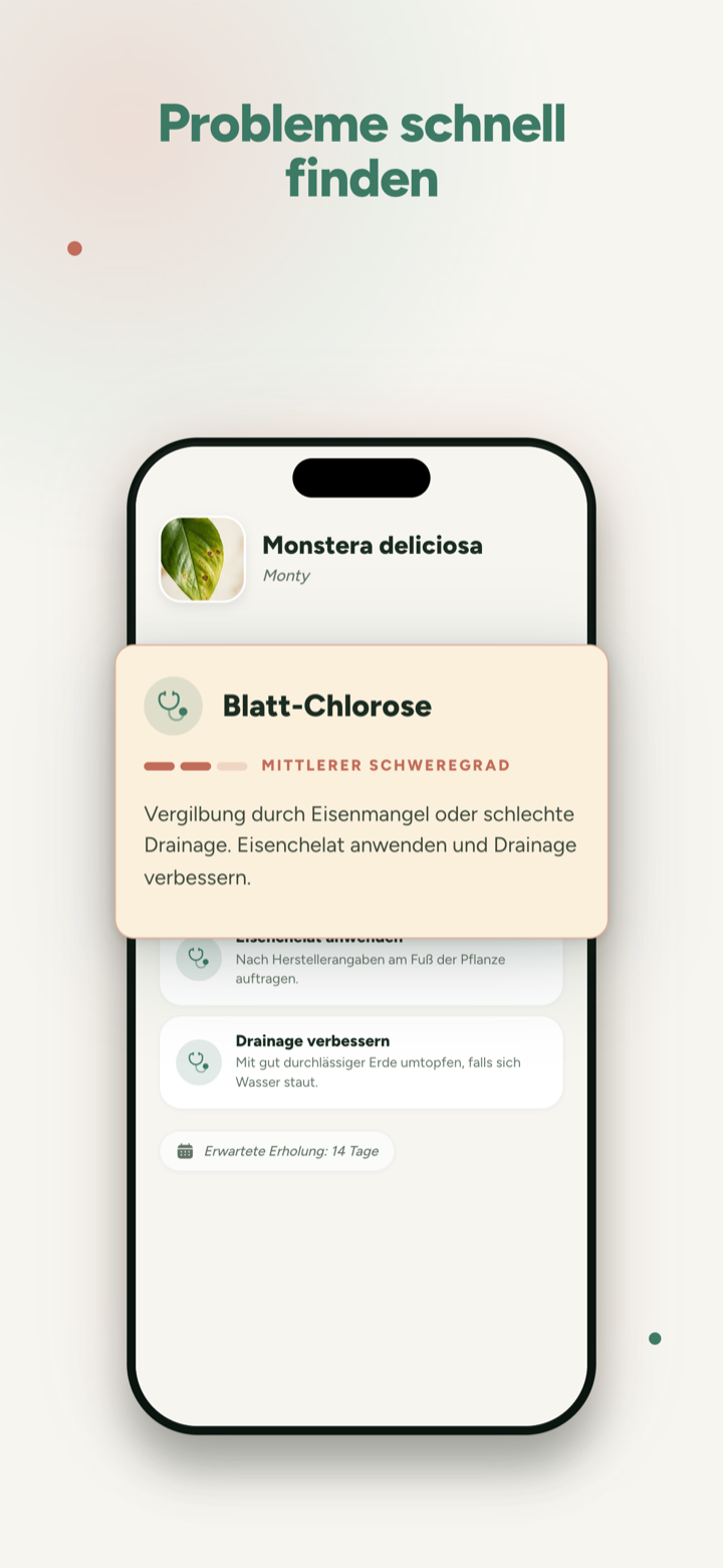 Probleme schnell erkennen