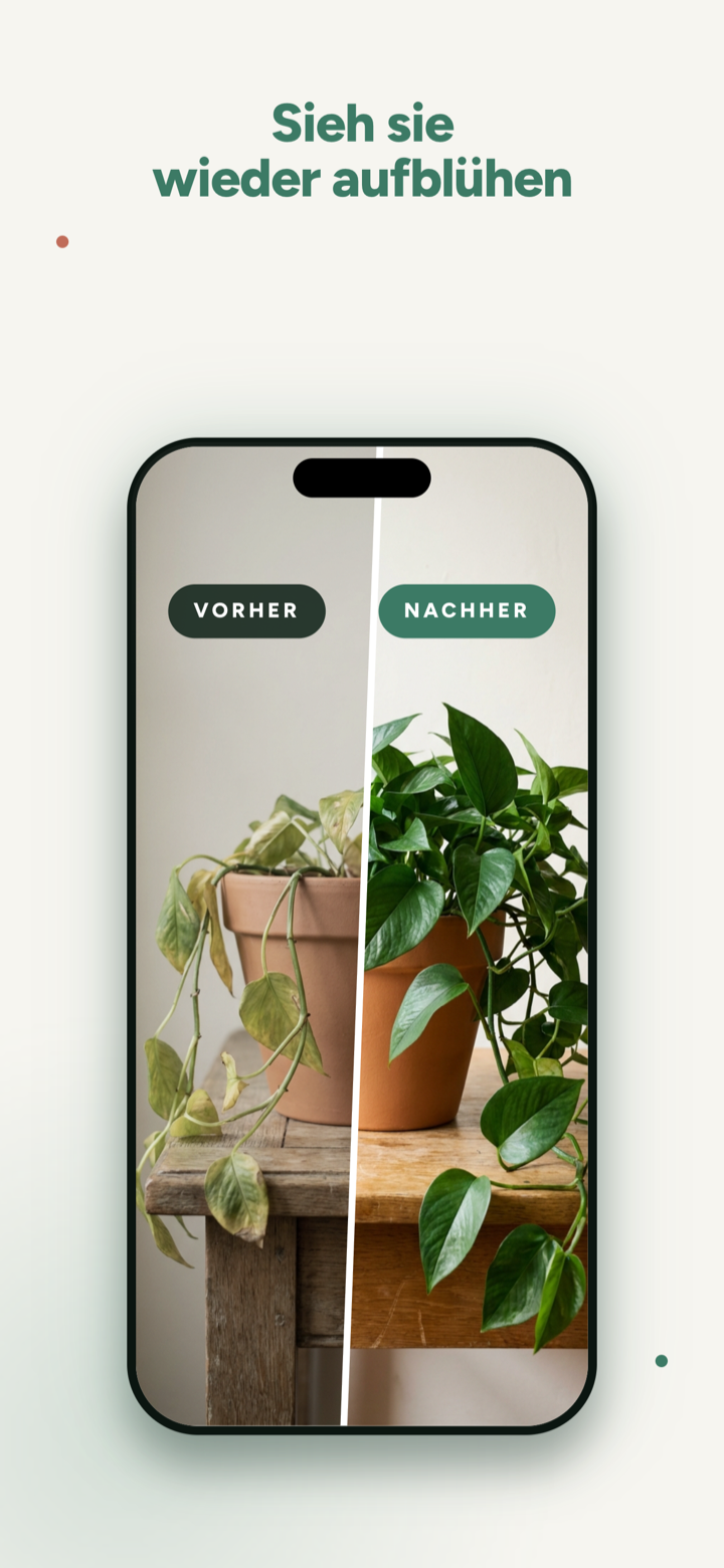 Sieh sie wieder aufblühen