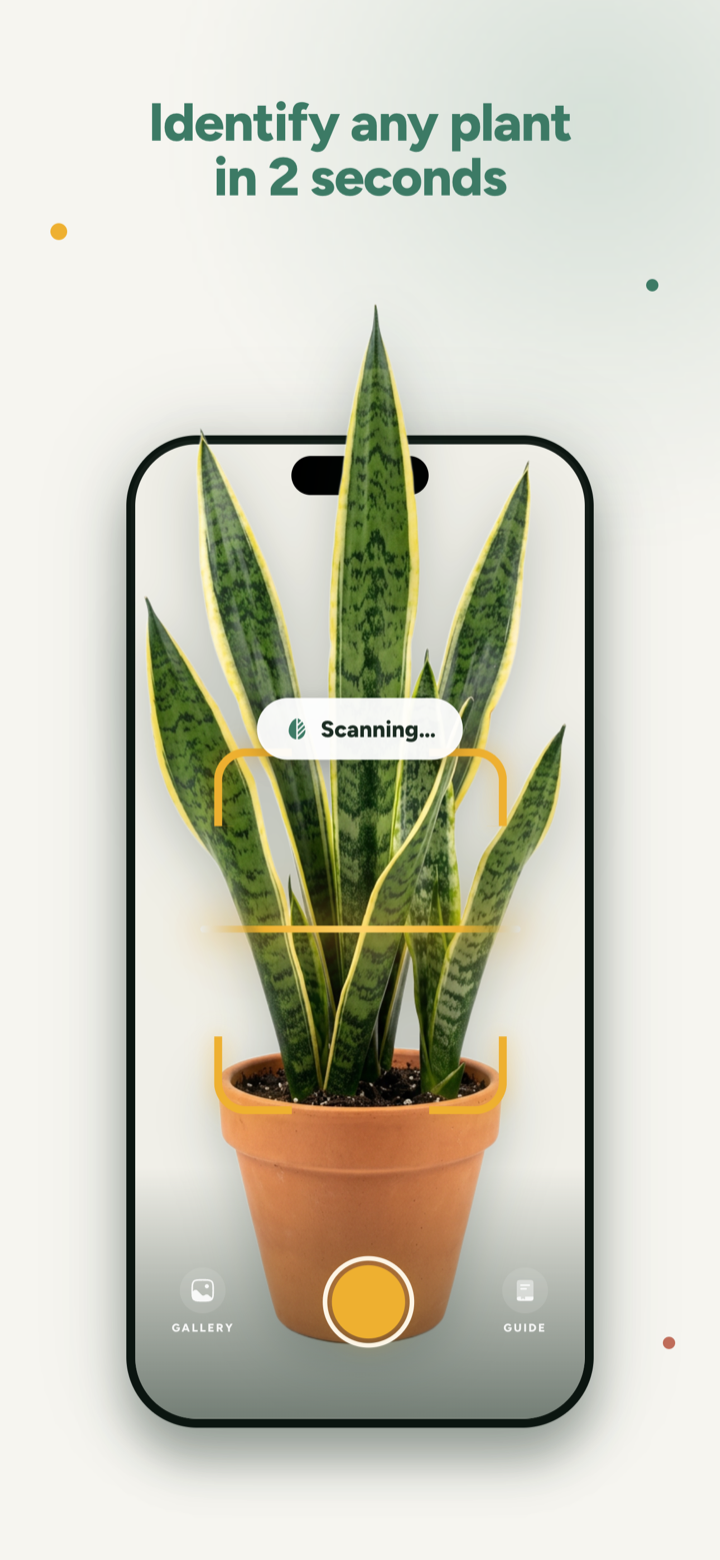 Dr.Plants identifying a plant in 2 seconds