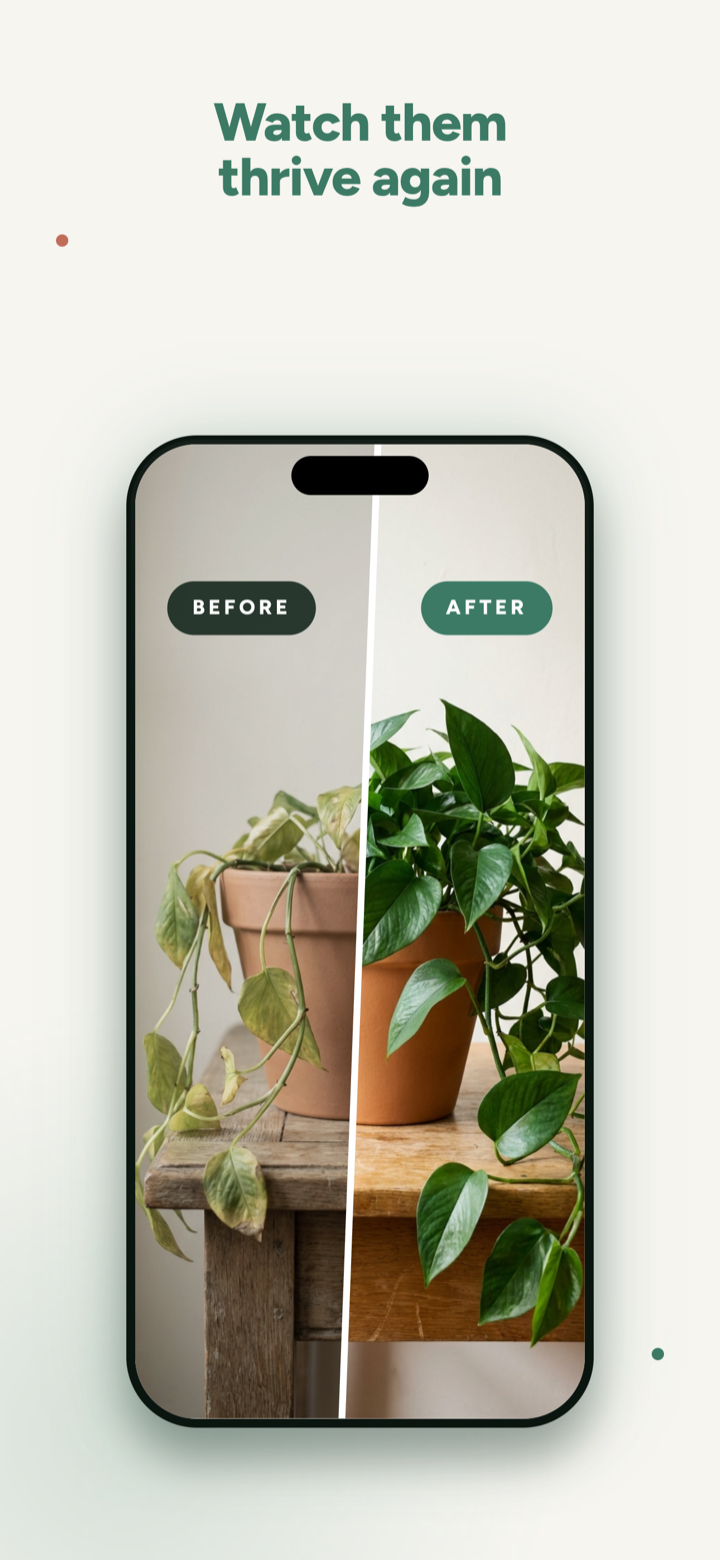 Watch plants recover