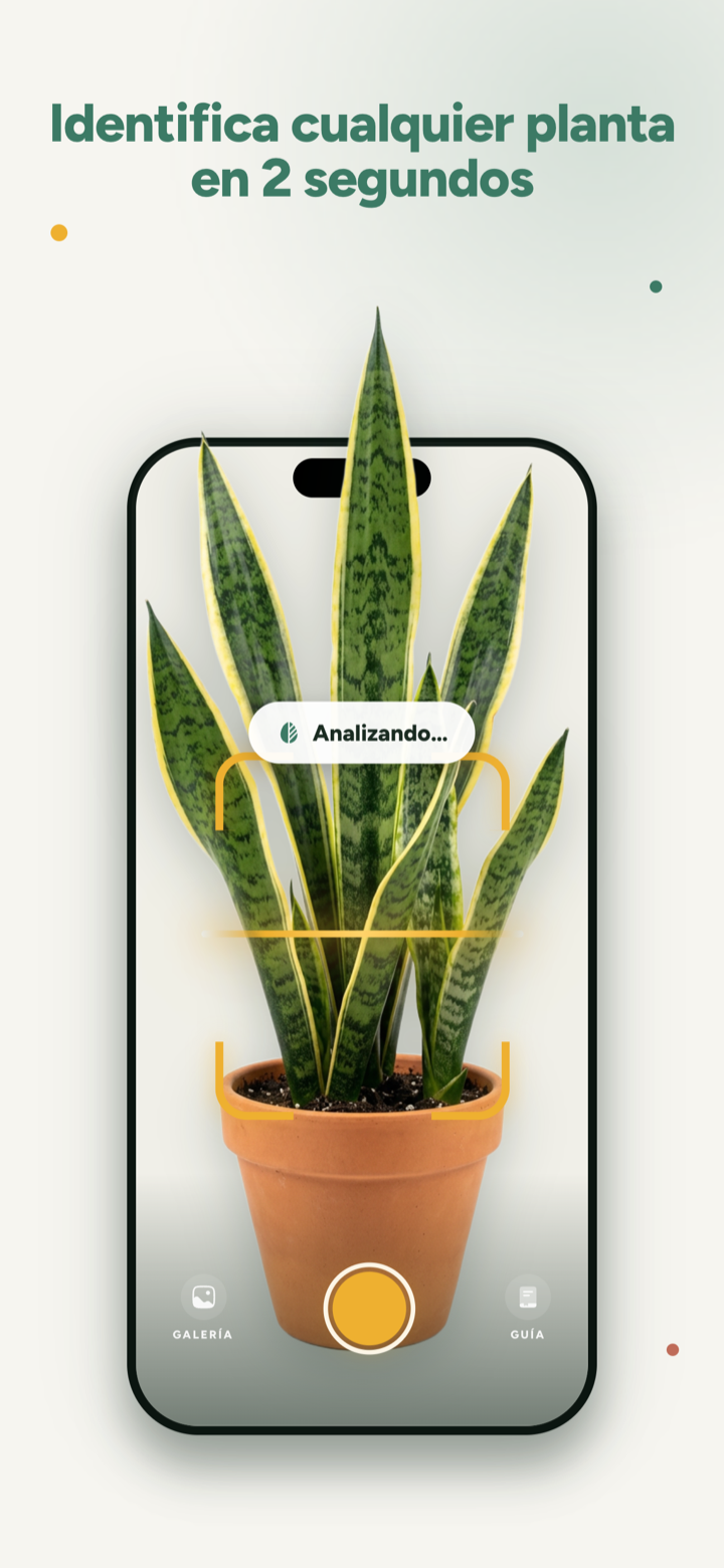Dr.Plants identifica una planta en 2 segundos