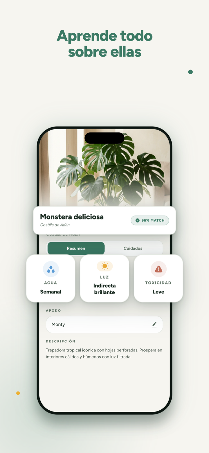 Identifica plantas al instante