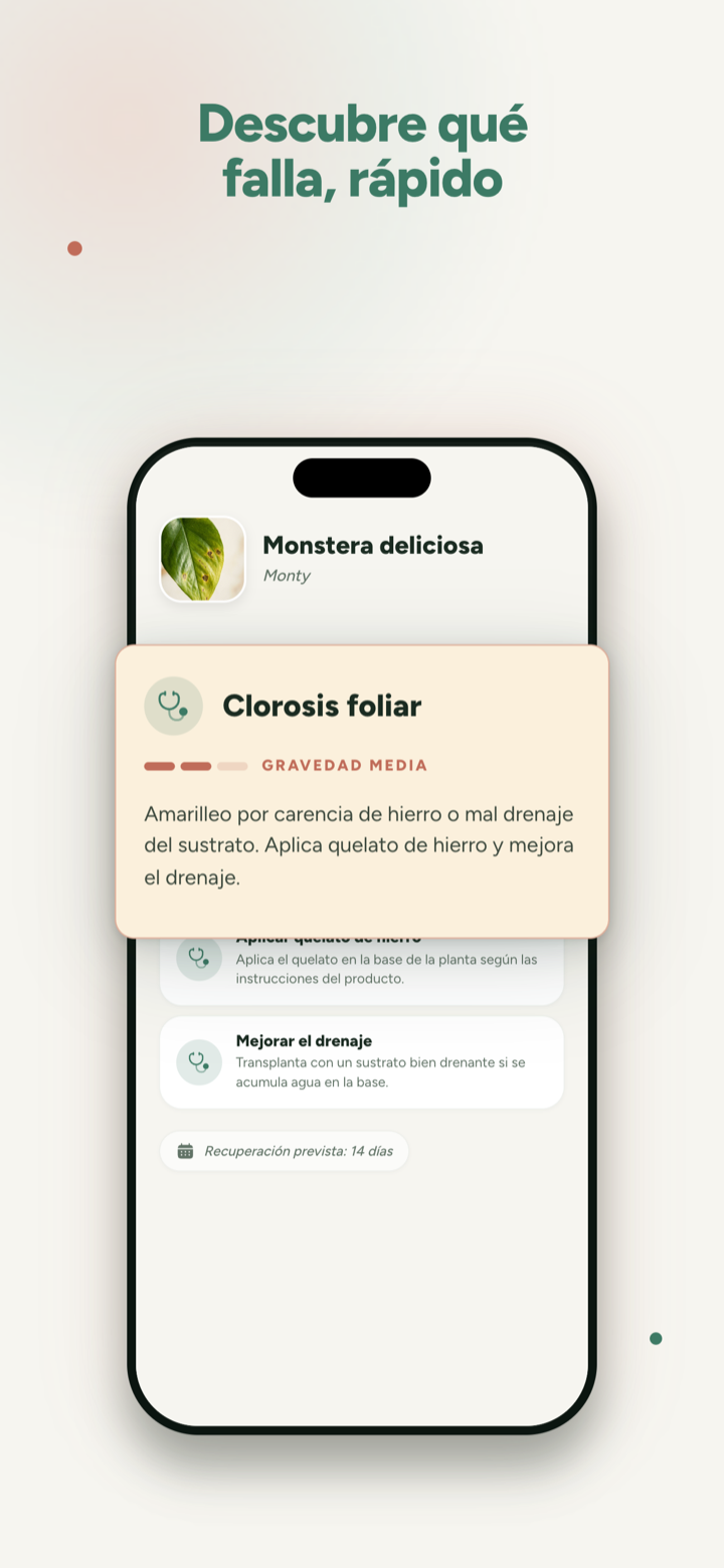 Diagnóstico rápido de problemas