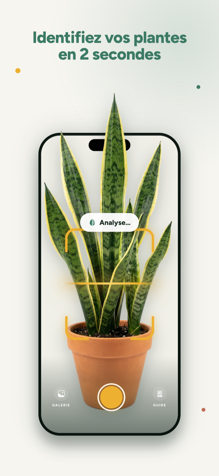 Dr.Plants identifie une plante en 2 secondes