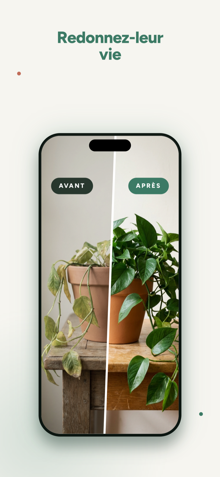Voir vos plantes se rétablir